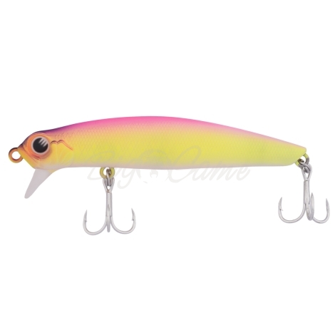 Воблер JACKSON Dead Float 80F код цв. FPG фото 2