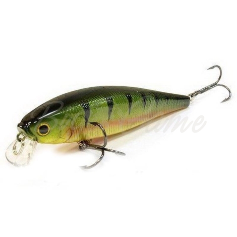 Воблер LUCKY CRAFT Pointer 100 SR цв. Aurora Gold Northern Perch фото 1