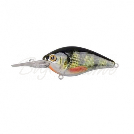 Воблер SPRO Ikiru Chrome M-Crank-LL 38 FL цв. G-Perch фото 1