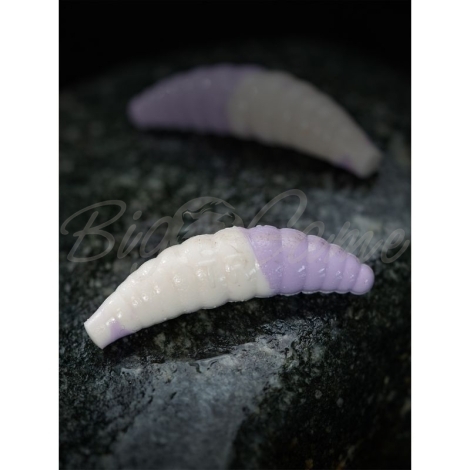 Личинка TERUKI Bro 3,8 см (8 шт.) зап. сыр цв. White/Lilac фото 1