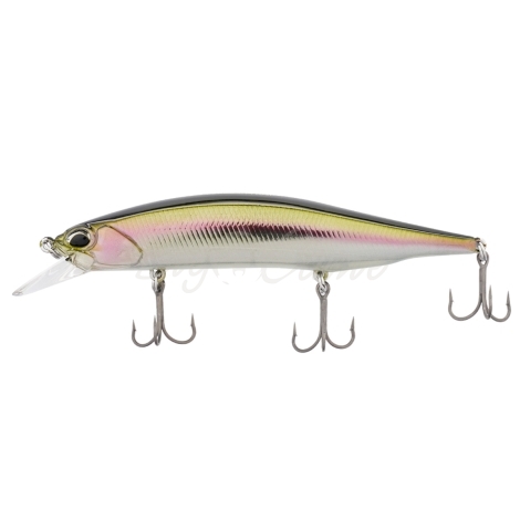 Воблер DUO Realis Jerkbait 110SP цв. CRA4036 -Rainbow Trout HM фото 2