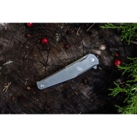 Нож складной RUIKE Knife P108-SF цв. Серый превью 3