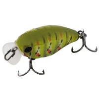 rt green caterpillar