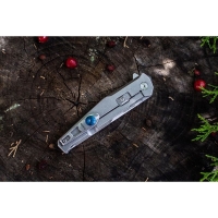 Нож складной RUIKE Knife P108-SF цв. Серый превью 4