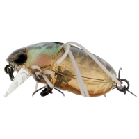 clear brown kogane
