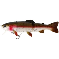 rainbow trout