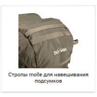 Рюкзак со стулом TATONKA Petri Chair цвет Olive превью 6