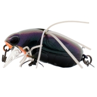 ul bug