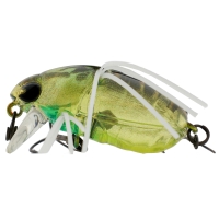 clear lime kogane