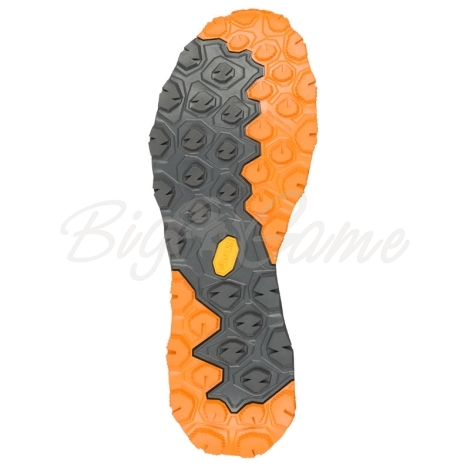 Кроссовки треккинговые AKU Flyrock GTX цвет Black / Orange фото 2