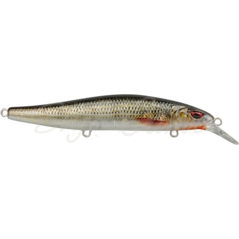 Воблер SPRO Ikiru Minnow 95F цв. Roach фото 1