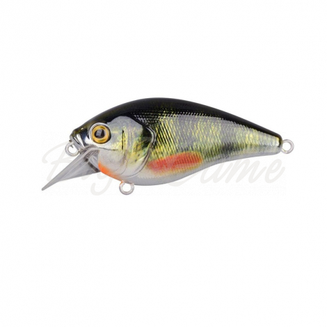 Воблер SPRO Ikiru Chrome Crank-SL 60 SFL цв. G-Perch фото 1