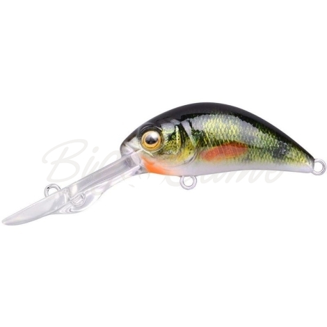 Воблер SPRO Ikiru Baby Crank-DD 40 FL цв. G-Perch фото 1