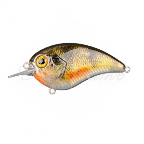 Воблер SPRO Ikiru Flat Crank 55 цв. Yellow Perch фото 1