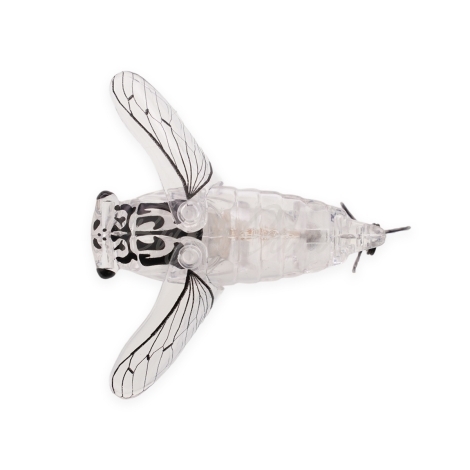 Воблер SMITH Bisen (цикада) 38F код цв. 21 фото 2 Воблер SMITH Bisen (цикада) 38F код цв. 21 фото 2