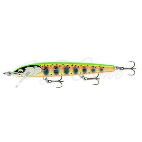 Воблер RAPALA Floater Elite 120F код цв. GDCY фото 1