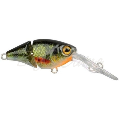 Воблер SPRO Ikiru Joint-Crank 35F цв. Green Perch фото 1