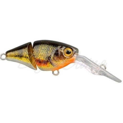 Воблер SPRO Ikiru Joint-Crank 35F цв. Yellow Perch фото 1