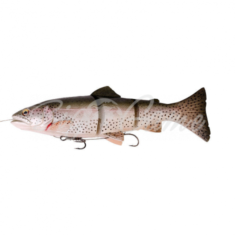 Приманка SAVAGE GEAR 3D Line Thru Trout MS 25 см цв. 01-Rainbow Trout фото 1