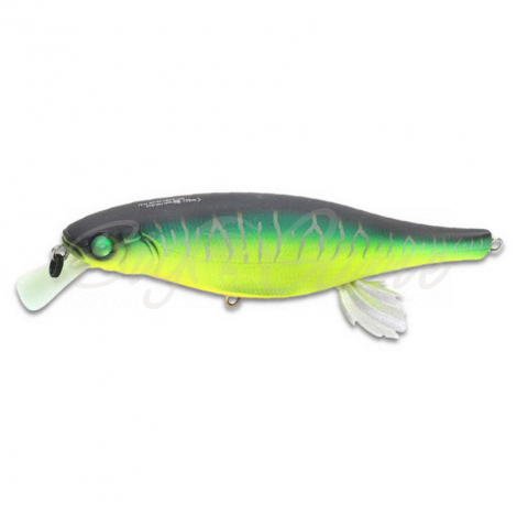 Воблер MEGABASS New Vision 100 Miyabi код цв. Mat Tiger фото 1