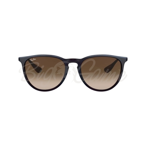 Очки солнцезащитные RAY-BAN RB4171 цв. Синий цв. ст. Коричневый фото 5