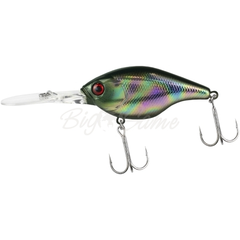 Воблер JACKALL Gillcra фото 1 Воблер JACKALL Gillcra фото 1