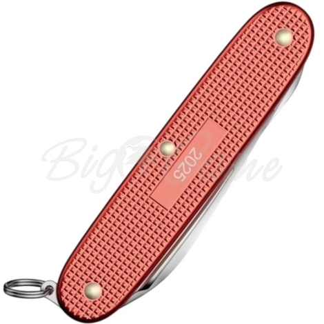 Мультитул VICTORINOX  Pioneer X Alox LE 2025 (9 инструментов) фото 3