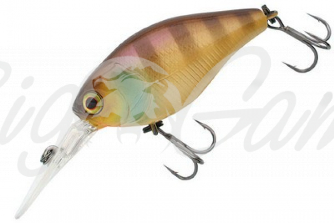 Super Chidler noike gill фото 1