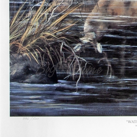 Картина Swanson репродукция Water Edge (олени разные) фото 3
