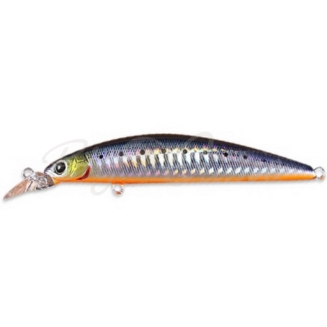 Воблер DAIWA Shore Line Shiner Current Master 11SG цв. kiwami iwashi фото 1