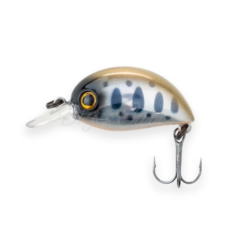 Воблер ZIP BAITS Baby Hickory 25SR код цв. 316 фото 2