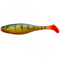 019-Yellow Perch