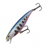 Blue Pink Smolt