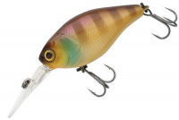 noike gill noike gill