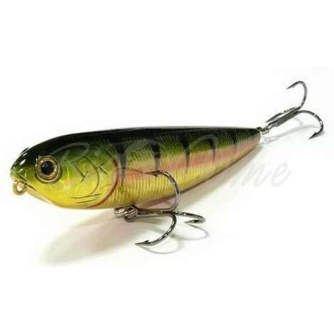 Воблер LUCKY CRAFT Sammy 100 F цв. Aurora Gold Northern Perch фото 1