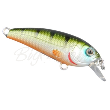 Воблер SPRO Chibi Shad 40SS цв. Sl Green Perch фото 1