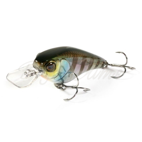 Воблер JACKALL Jaco 58SR цв. hl bluegill фото 2