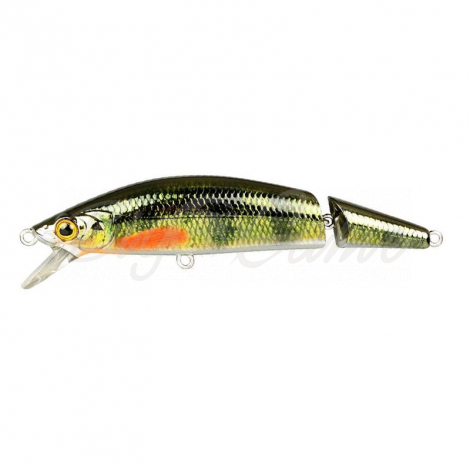 Воблер SPRO Ikiru Jointed 110F цв. Chrome Green Perch фото 1