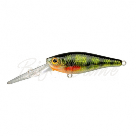 Воблер SPRO Ikiru Crank-LL 60 SFL цв. Green Perch фото 1