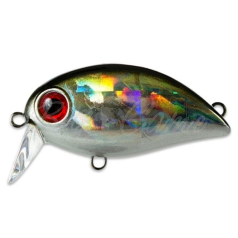 Воблер ZIP BAITS Baby Hickory 25SR код цв. 510R фото 1