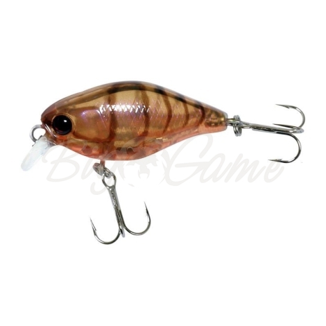 Воблер JACKALL Chubby 38 SR цв. brown suji shrimp фото 1