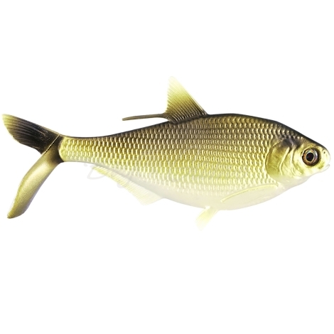 Свимбейт 13 FISHING BAMF Shad 8" цв. Gold Retriver фото 1