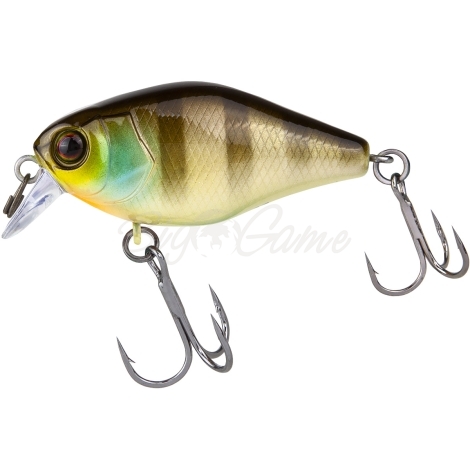 Воблер JACKALL Chubby 41 SR Silent цв. noike gill фото 1