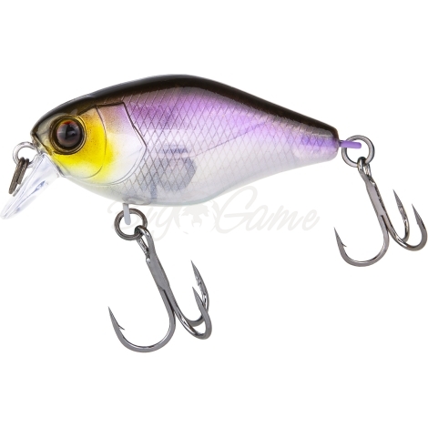 Воблер JACKALL Chubby 41 SR Silent цв. ghost wakasagi фото 1