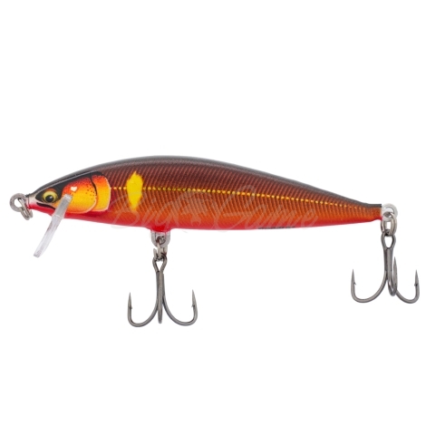 Воблер RAPALA CountDown Elite 95S код цв. GDGA фото 2
