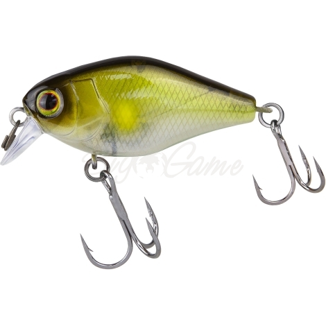 Воблер JACKALL Chubby 41 SR Silent цв. ghost ayu фото 1