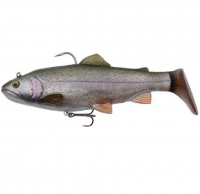 01-Rainbow Trout