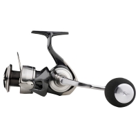 Катушка безынерционная DAIWA 24 Certate SW (G) превью 2