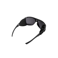 Очки солнцезащитные WHITELAB WLEM3 Evermont цв. Black цв. ст. Black S3 превью 2