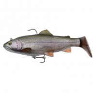 01-Rainbow Trout